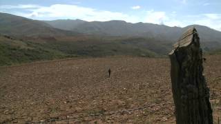 Bol150 - A Day At Sahuintal 1- Run For Your Cow- Don Isidoro