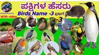 Birds|ಪಕ್ಷಿಗಳು|Birds Features In Kannada|ಪಕ್ಷಿಗಳ ಗುಣ ಲಕ್ಷಣಗಳು #birds #nameofbirds #learn