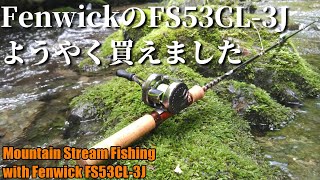 Fenwick FS53CL-3J