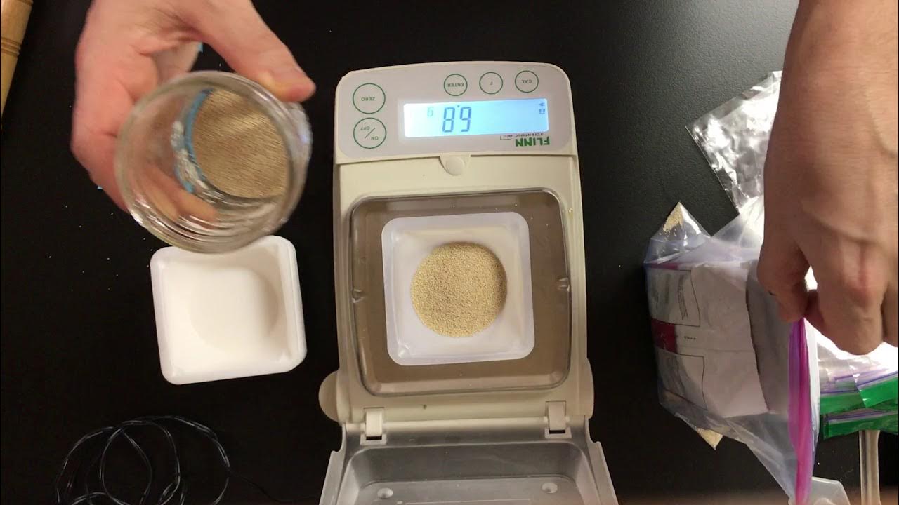 How to measure yeast Respiration and Fermentation activity YouTube