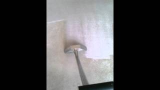 Steam Cleaning a wool carpet after the dog has had his day! Steam Cleaning a wool carpet after the dog has had his day!
