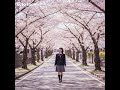 【JPOP】「桜舞う坂道で」