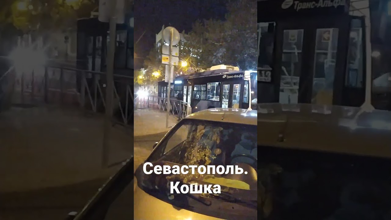 почему тревога в севастополе сейчас