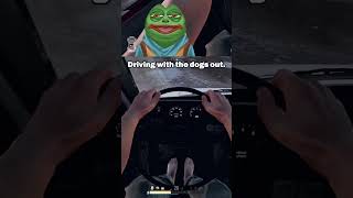 Those dogs are BARKING #vtuber #streamer