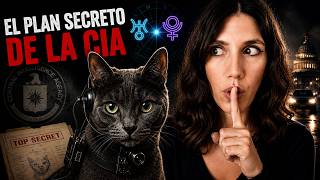 The spy cats... The CIA's craziest plan #cats