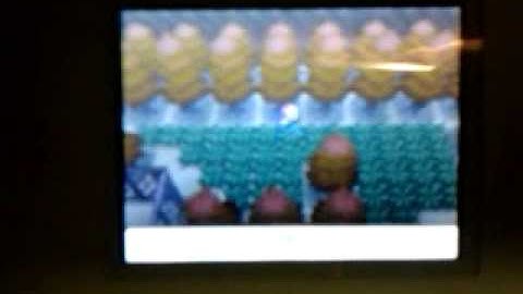 Shiny Liepard on Pokemon White After Only 1689 REs!