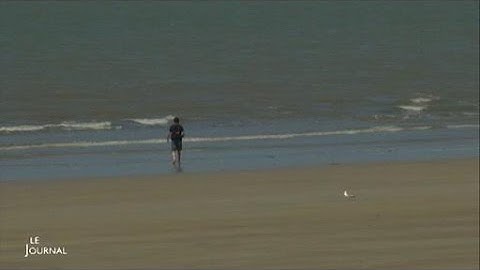 Protection du littoral : Bilan d'une expérience en Vendée