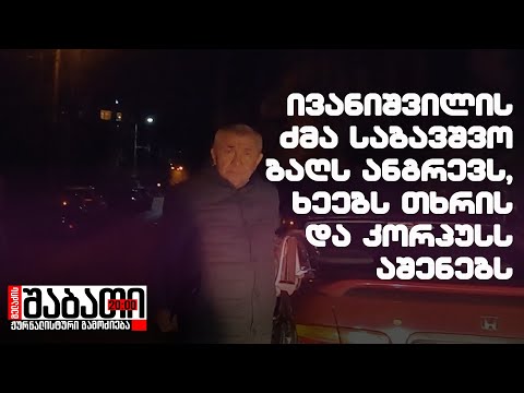 ივანიშვილის ძმა საბავშვო ბაღს ანგრევს, ხეებს თხრის და კორპუსს აშენებს