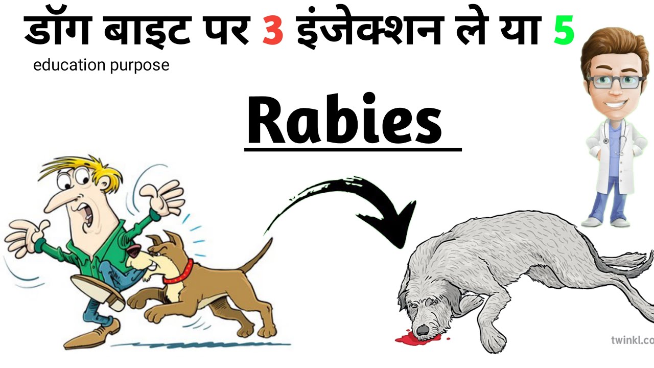 Dog bites par 3 injections le ya 5?Rabies cure medicalhelp YouTube