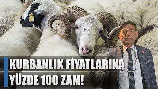 Küçükbaş Kurbanlık Fiyatlarında Ne Kadar? Yüzde 100 Zam / AGRO TV HABER