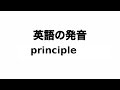 英単語 principle 発音と読み方