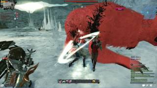 Vindictus SLOW MO GLITCH