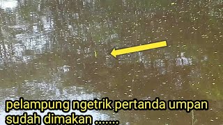 detik detik pelampung/ngetrik unik🙄🙄