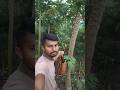 প্রকৃতির এই ক্ষতিগুলো চাষিদের মাথা পেতে মেনে নিতে হয় #farmerlife #minivlog #agriculture #shorts