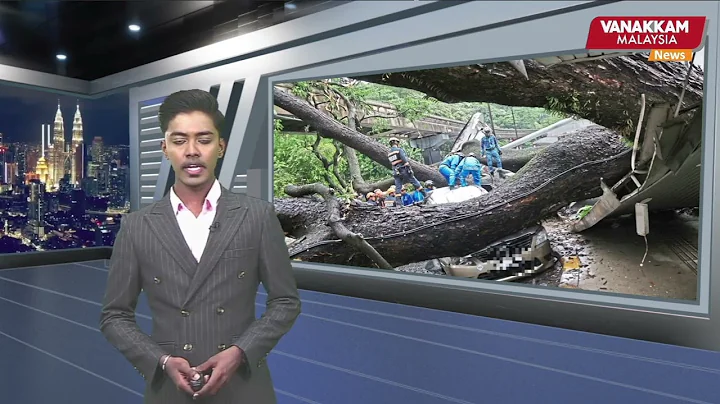8/05/2024: Tree fallen incident: Swedish woman still receiving medical treatment in HKL - DayDayNews
