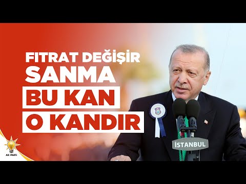 Cumhurbaşkanımız Erdoğan: 15