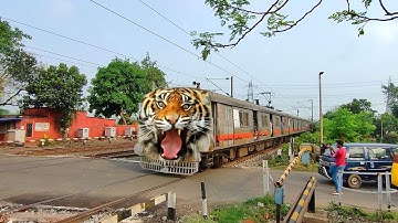 Furious Angry Tiger Speed : BEML Emu Dangerous Aggressive Passing Throughout Railgate