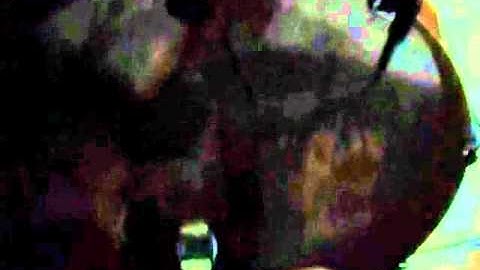 test alesis trigger io