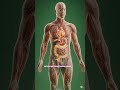 Before You Drink Milk… Watch This!” #bodylab #MilkEffects #HumanBody
