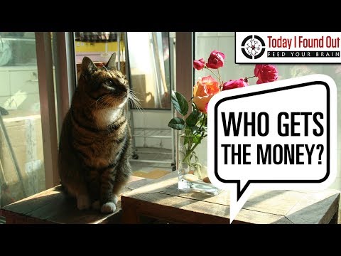 Video: Is It Possible To Leave An Inheritance To Your Cat