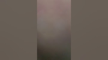 صلا الفجر يوم الجمعة؛القارئ همام عادل شاهين