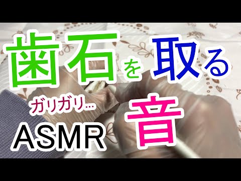 【ASMR】歯科器具で歯石を取る音 / 本物の石を代用 / Ear Massage 睡眠用【No Talking】