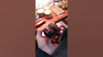 Thiềm thừ gỗ trắc - Cóc gỗ trắc ngồi bao tiền