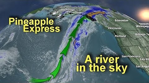 what is pineapple express that