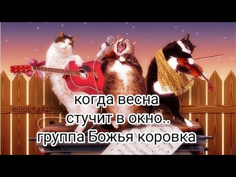 Когда весна стучит в окно . Божья коровка