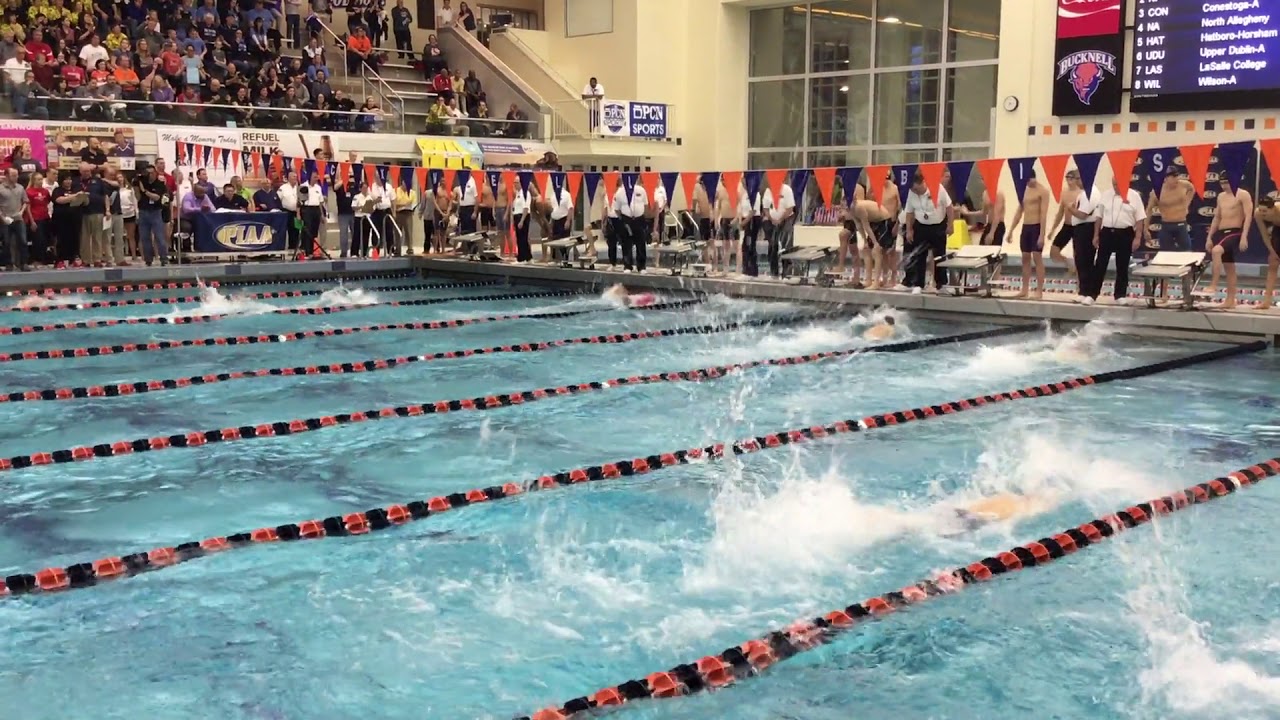 North Allegheny Breaks the National High School Record in the 400 free relay (View 2)