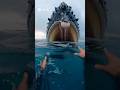 POV: Man Swallowed by a Whale (4K Realistic Cinematic) #youtubeshorts #ocean #nature #reality #4k