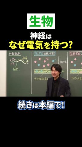 神経はなぜ電気を持つ?#麻酔 #shorts