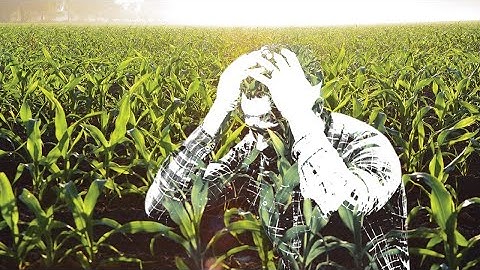 ( LISTEN UP) EZEKIEL 5:17 