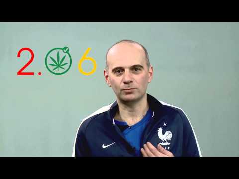 შეამსუბუქე მუხლები! - დათო ფორჩხიძე