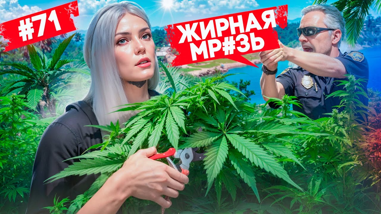 НАРВАЛАСЬ НА ОБИЖЕННОГО ГОСНИКА В ПОПЫТКАХ ВЫРАЩИВАТЬ ГРИН В GTA 5 RP MAJESTIC ПУТЬ НОВИЧКА #71