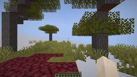 [WR] Enter Nether in 5.517 seconds