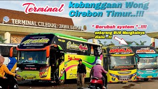 BEDA Terminal Ciledug Cirebon skrg‼️sistem Keluar masuk BUSnya gini🔴Review ALZIDAN &ALKAUSAR yg Baru
