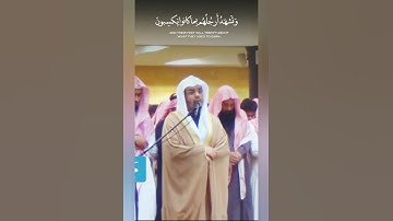 " اليوم نختم علي أفواههم وتكلمنا أيديهم " تلاوة هادئة 💙💫 الشيخ ياسر الدوسري