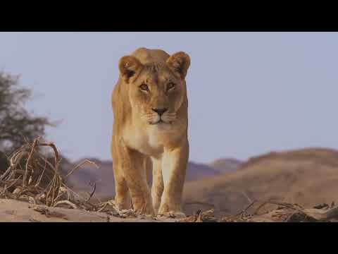 كوكب الأرض II: قسوة الصحاري - الحلقة الرابعة