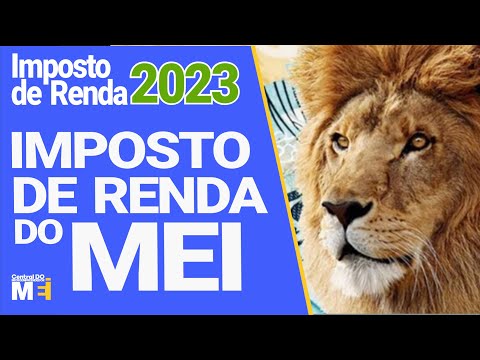 COMO DECLARAR IMPOSTO DE RENDA SENDO MEI 2023