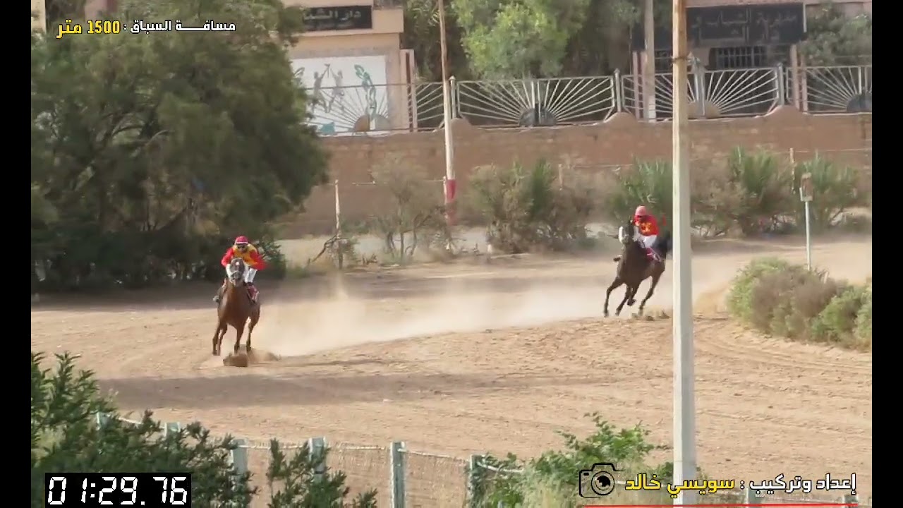 سباق الخيول العربيــة الأصيلــة ميدان سيدي نايل لسبـــاق الخيـل بالجــلفة ليوم  : 14.07.2025 🐴🐴