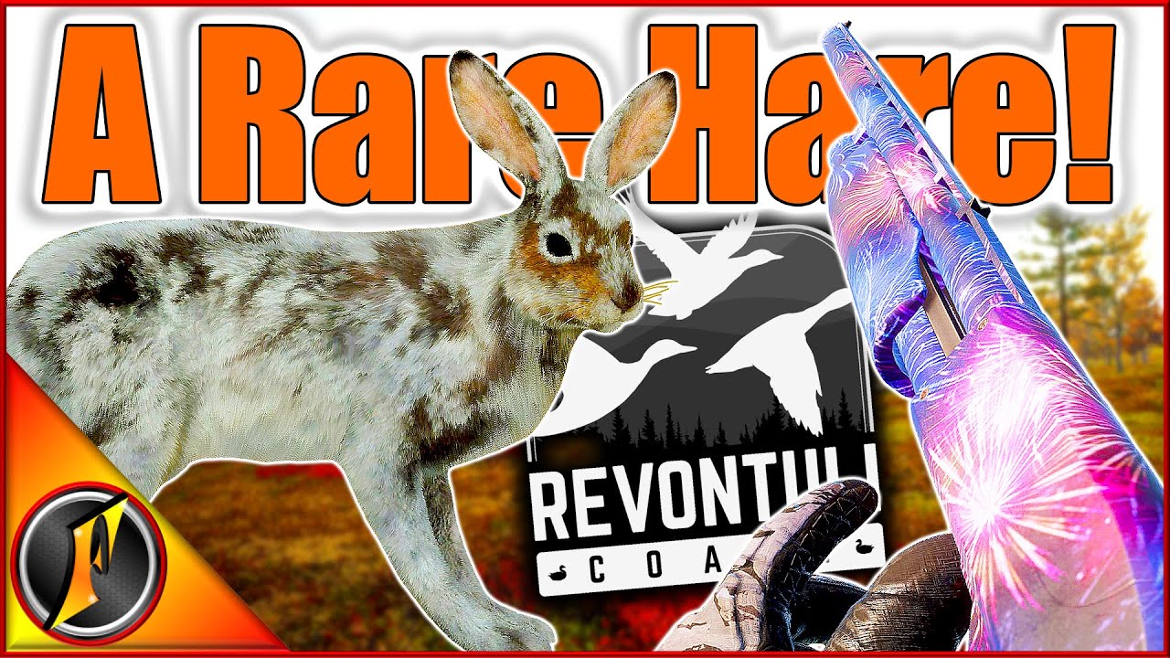 A Crazy Rare to End the Year! | Molting Mountain Hare on Revontuli ...