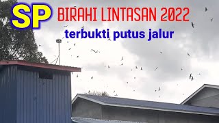 Sp Birahi Lintasan!!! 2022 pemutus jalur lintasan