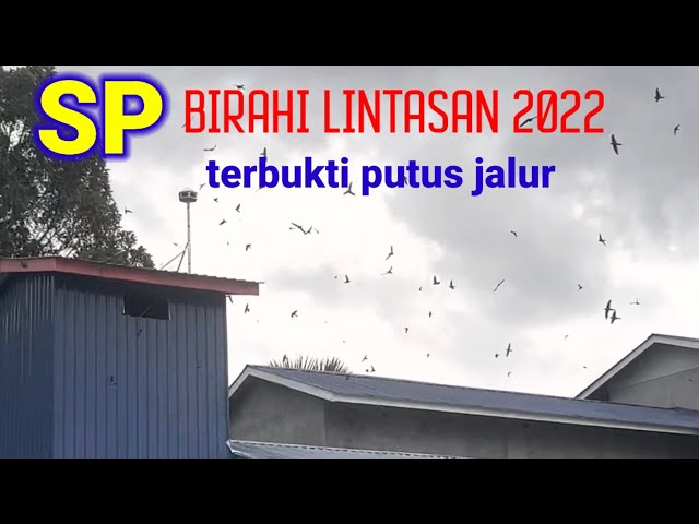 Sp Birahi Lintasan!!! 2022 pemutus jalur lintasan class=