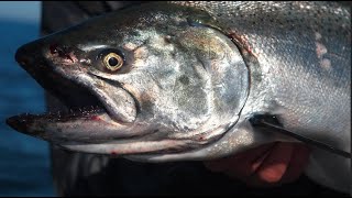 2 Day Salmon Fishing Adventure on Lake Superior (Camp, Catch and Cook)