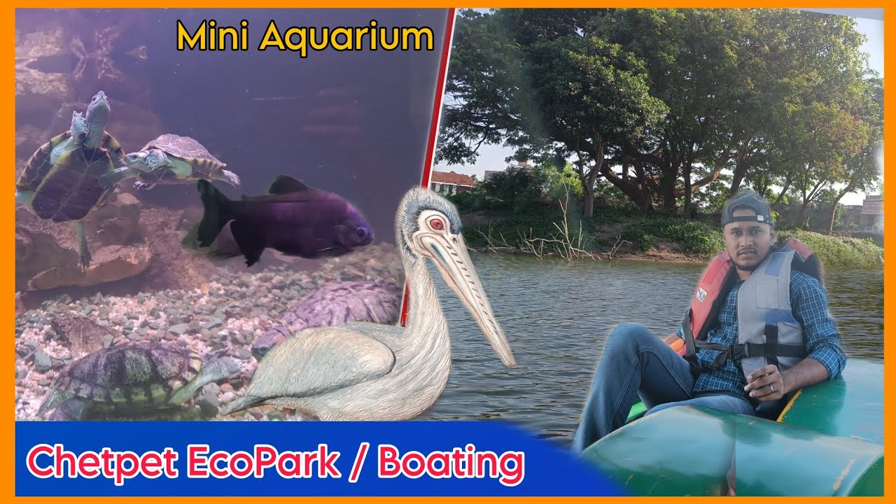 Chetpet Eco Park Chetpet Boating Aquarium Chennai Mct Suhail chetpet-eco-park-chetpet-boating-aquarium-chennai-mct-suhail