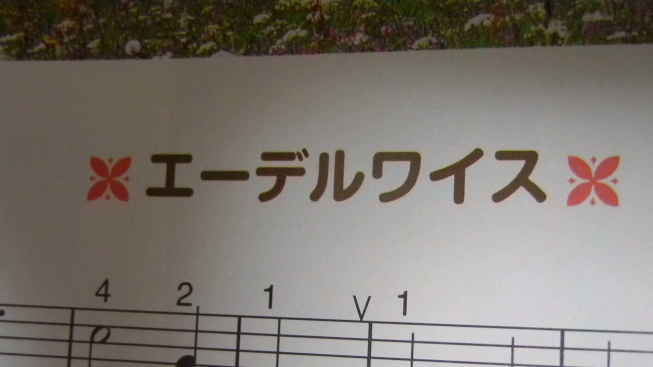 リコーダーでエーデルワイスを吹いてみた 小4 Youtube