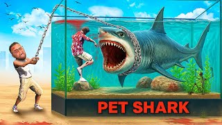 Raising A PET SHARK In GTA 5