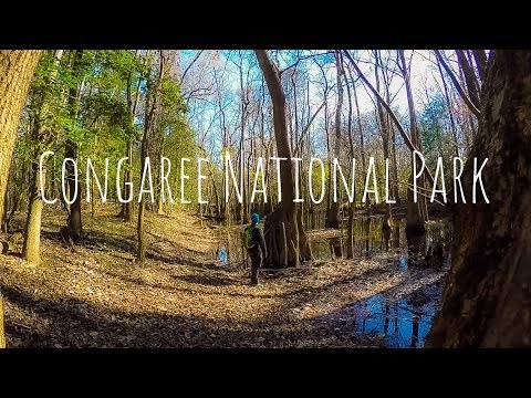 Congaree National Park | Weston Loop Trail and Wise Lake
