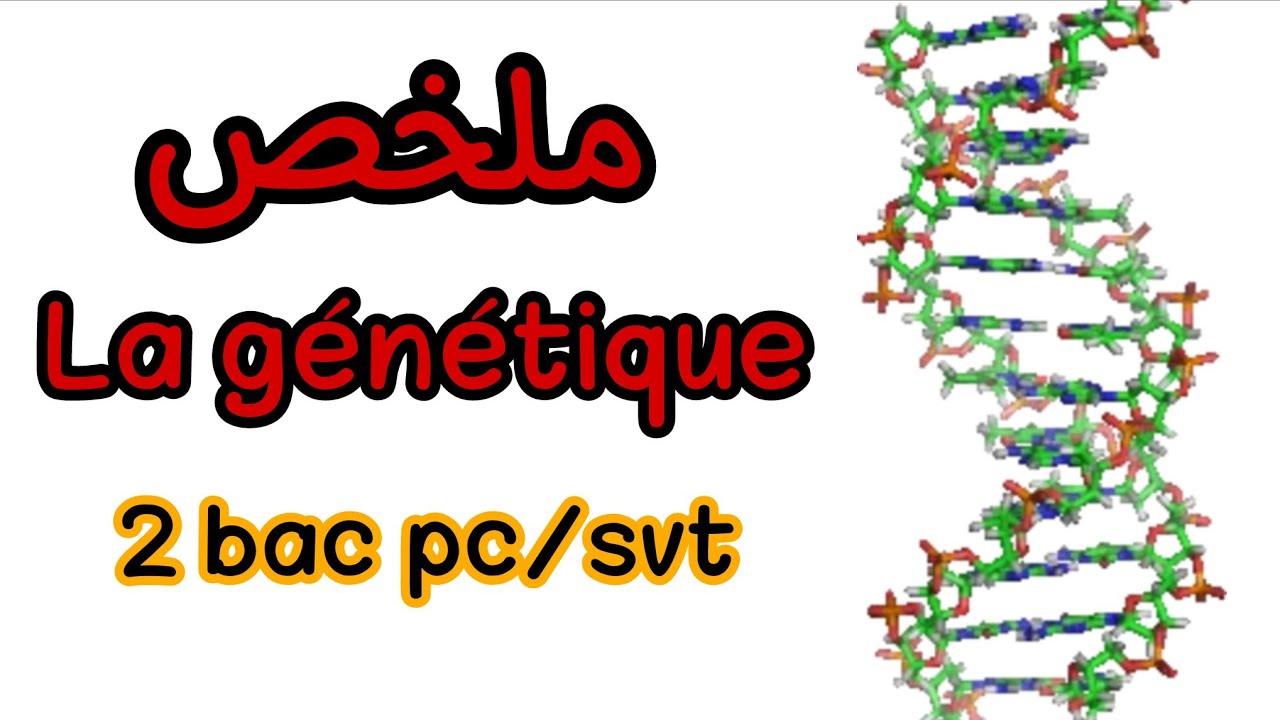l'information génétique de A jusqu'à Z ملخص شامل